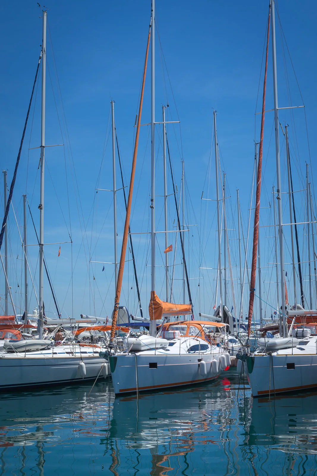 Yacht ELAN Impression 45 - Lion - Foto 1