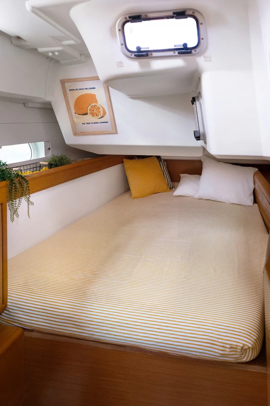 Yacht JEANNEAU Sun Odyssey 469 - Lemon - Foto 1