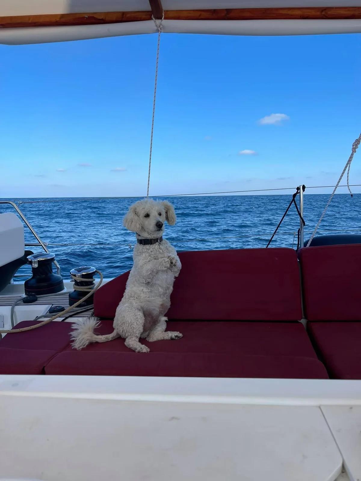 Yacht BENETEAU Oceanis 51.1 - Ef Zin - Foto 1