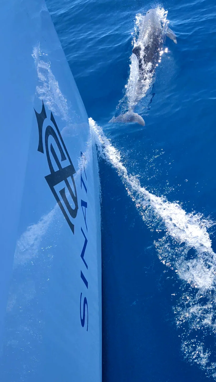 Yacht SUNREEF YACHTS 60 - Sinata - Foto 70