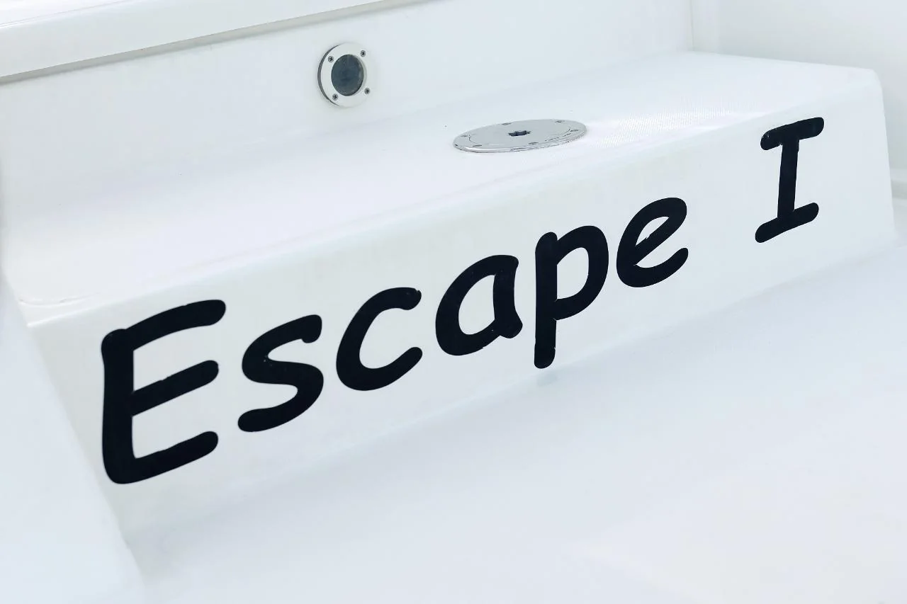 Escape I - Gallery 50