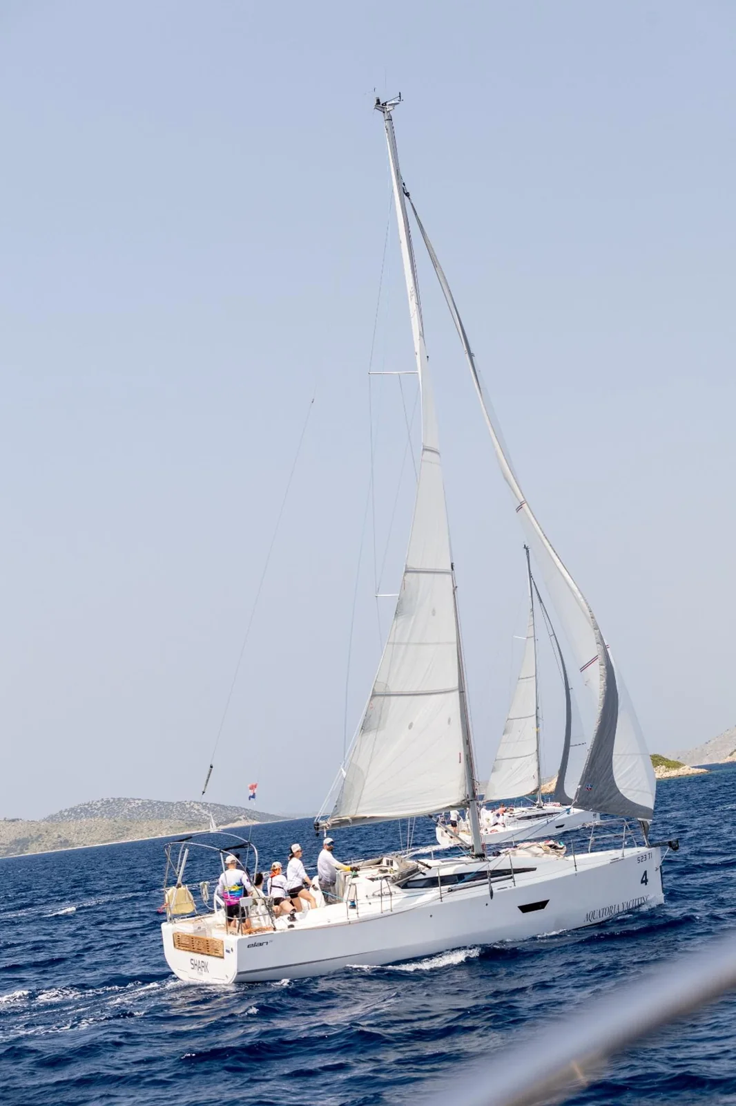 Shark - Gallery 3