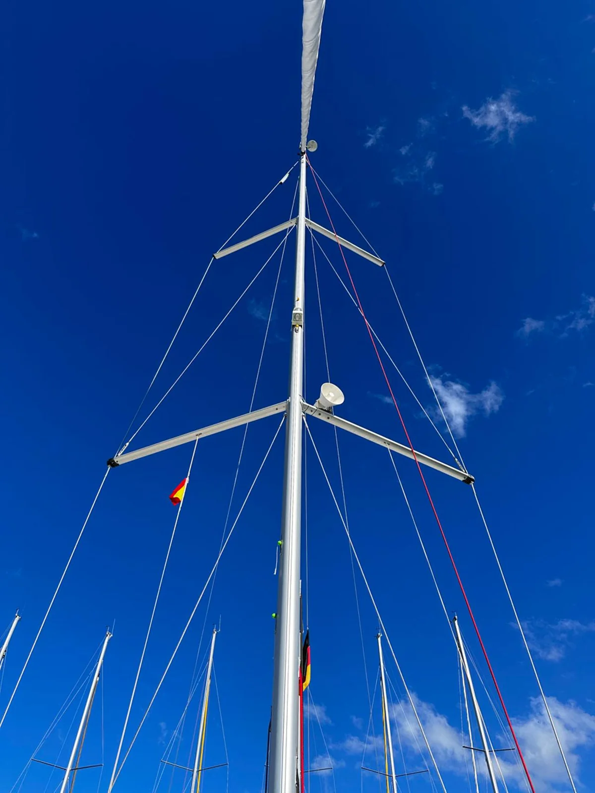 Sea Pearl - Gallery 32