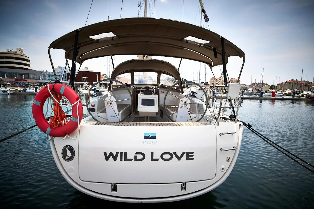 Wild Love - Gallery 2