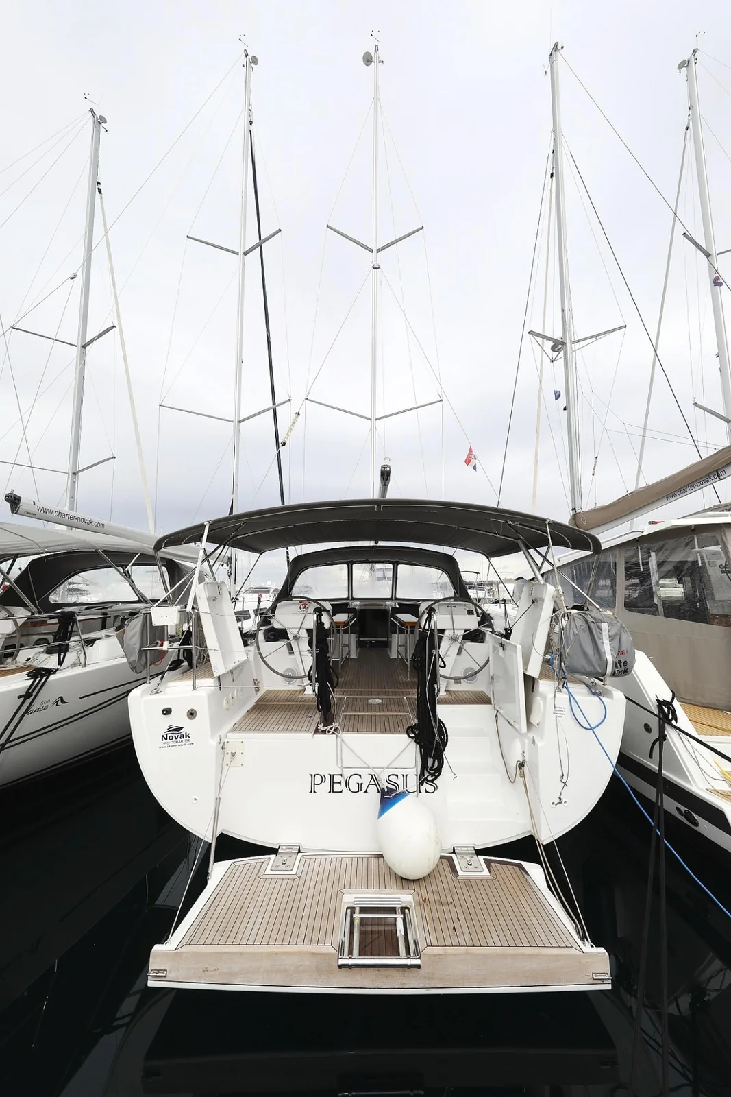 Pegasus - Gallery 2