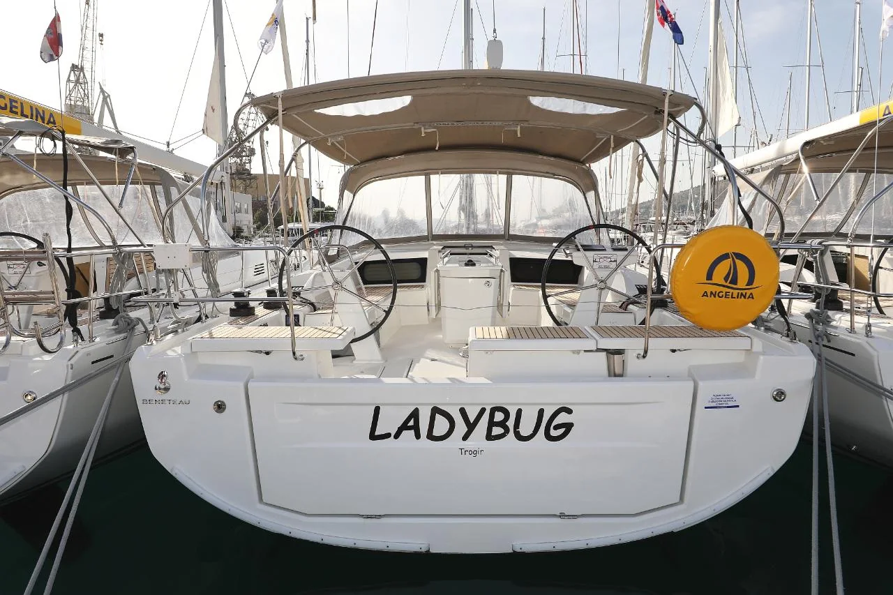 Ladybug - Main 1