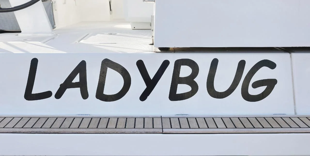 Ladybug - Gallery 41