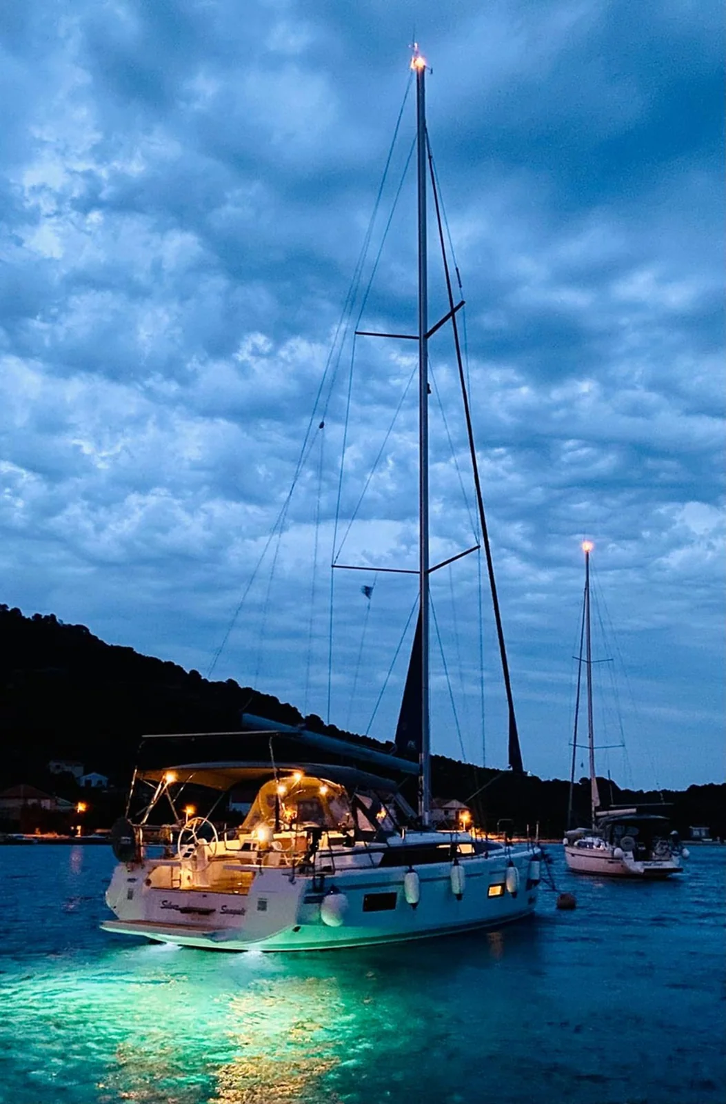 Silver Seagull - Gallery 9