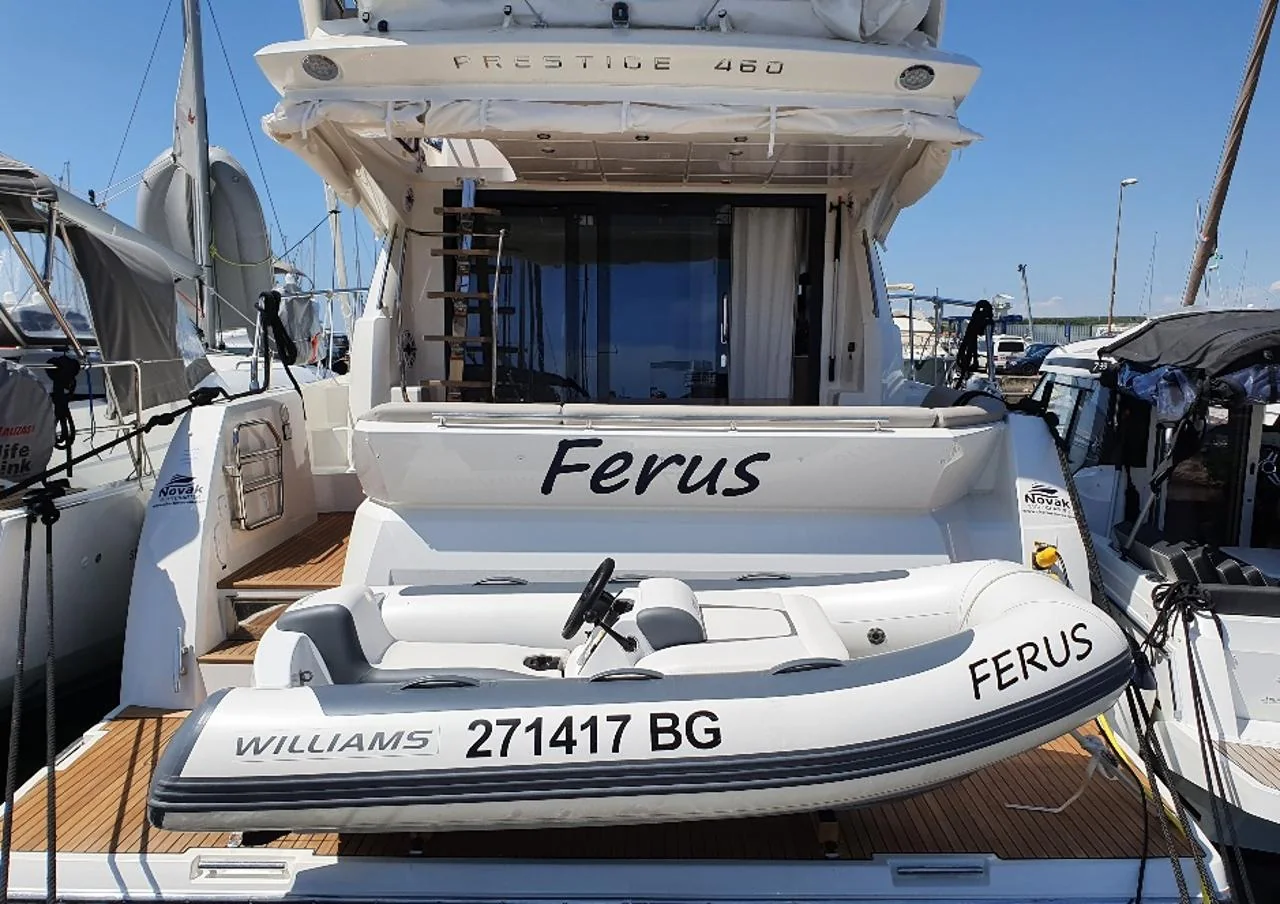 Ferus - Main 1