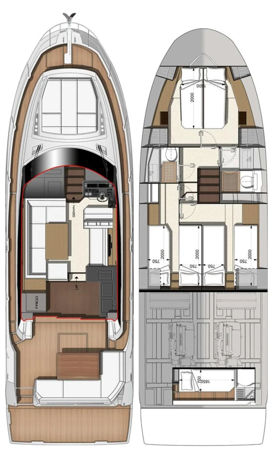 Ferus - Layout 25