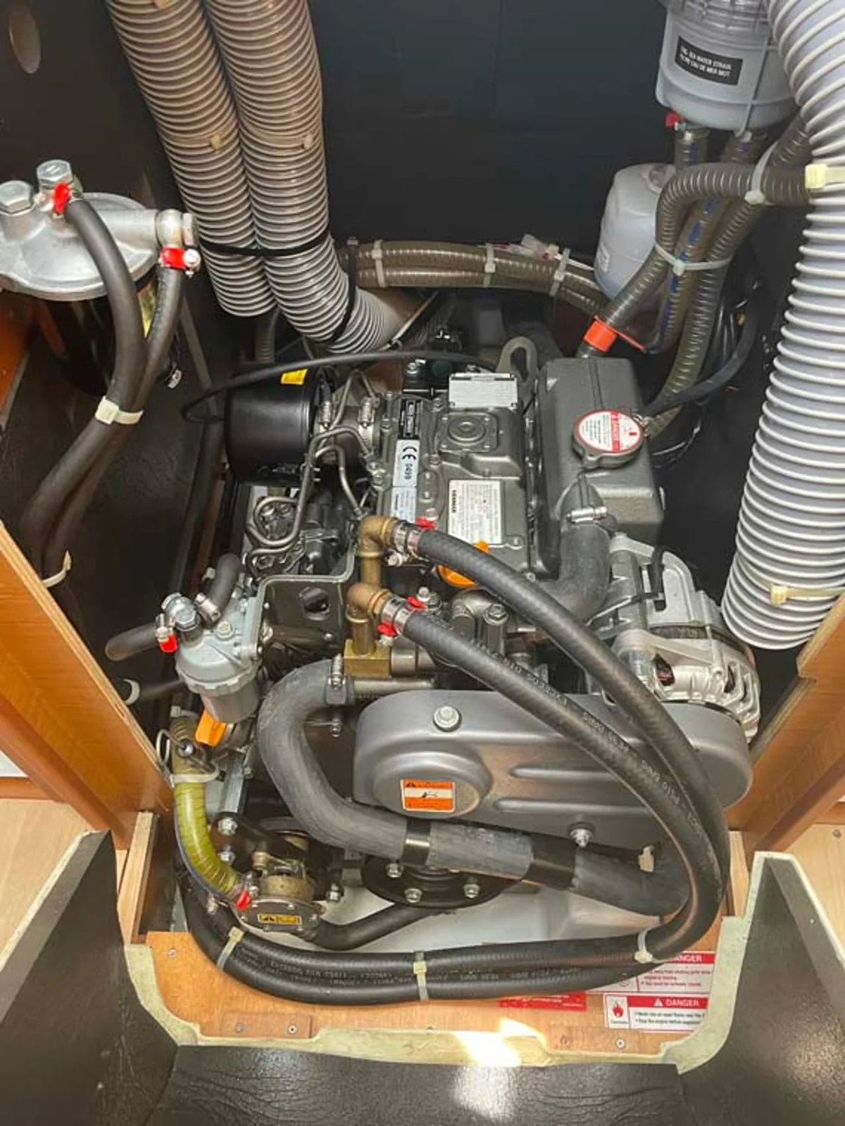 Castor - Gallery 19