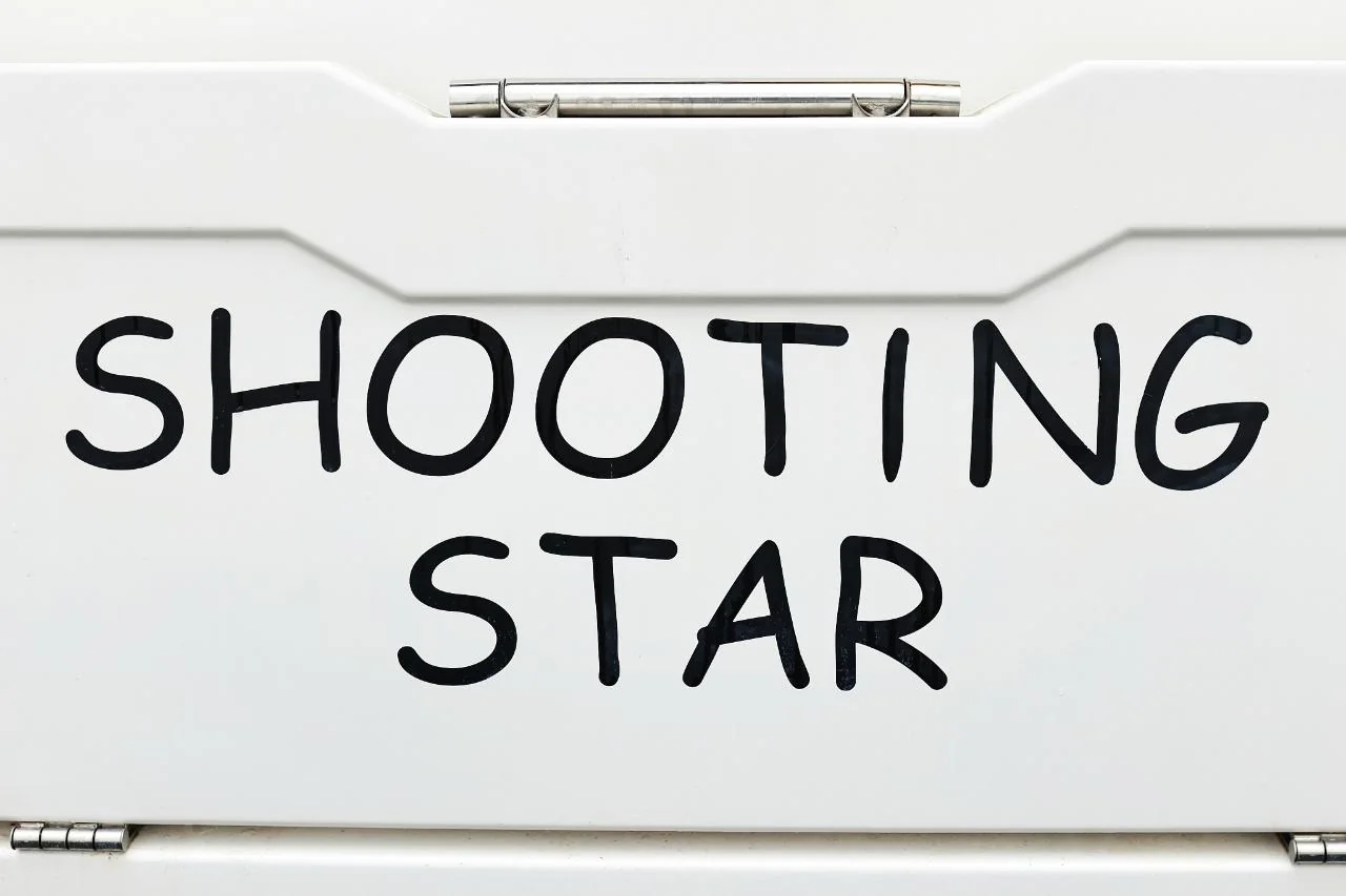 Shooting Star - Gallery 34