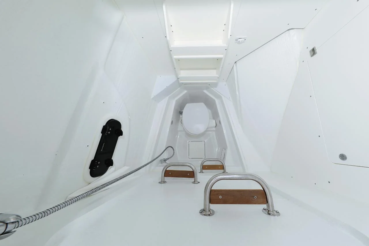 Apollo - Gallery 49