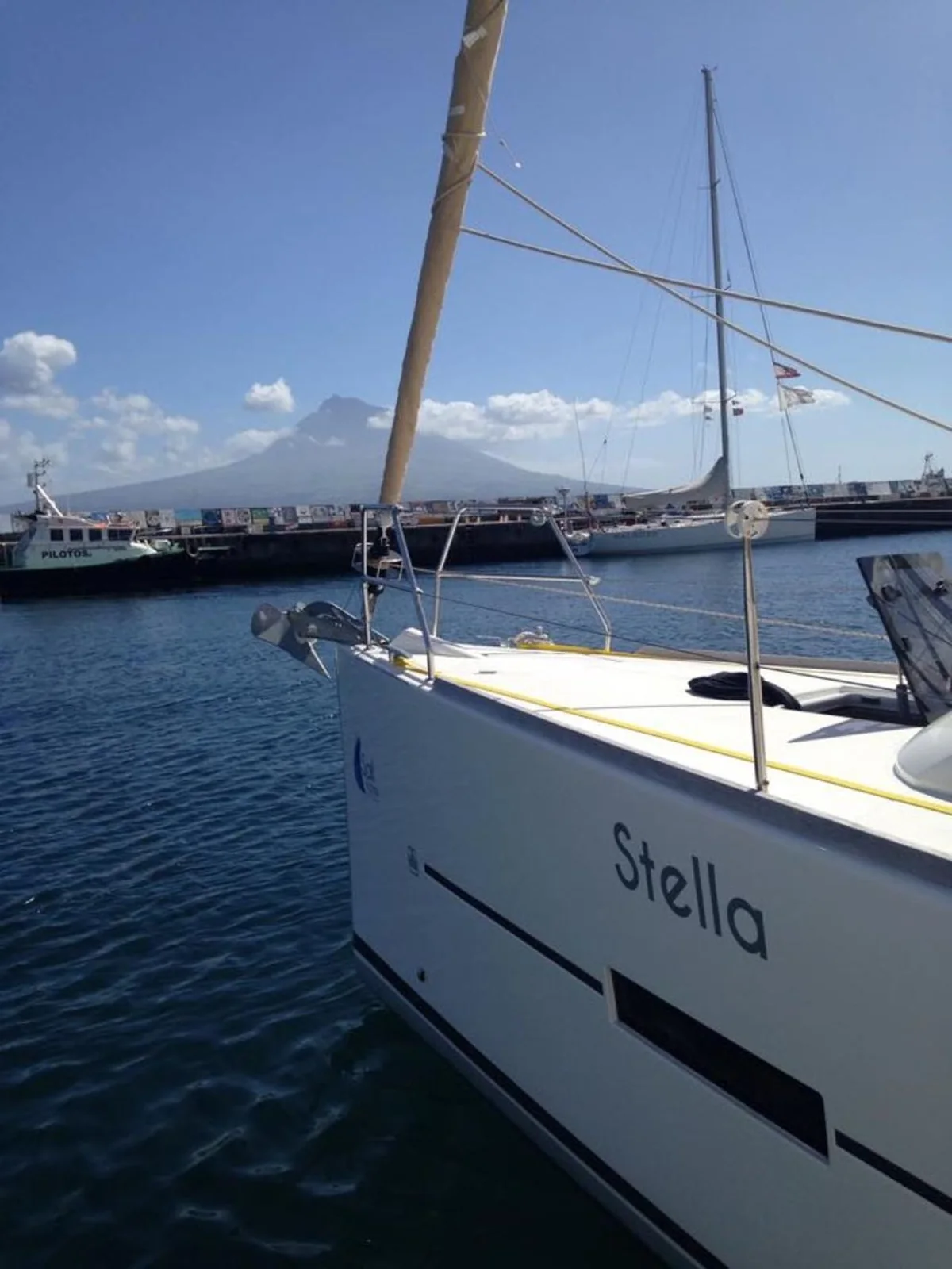 Stella - Gallery 5
