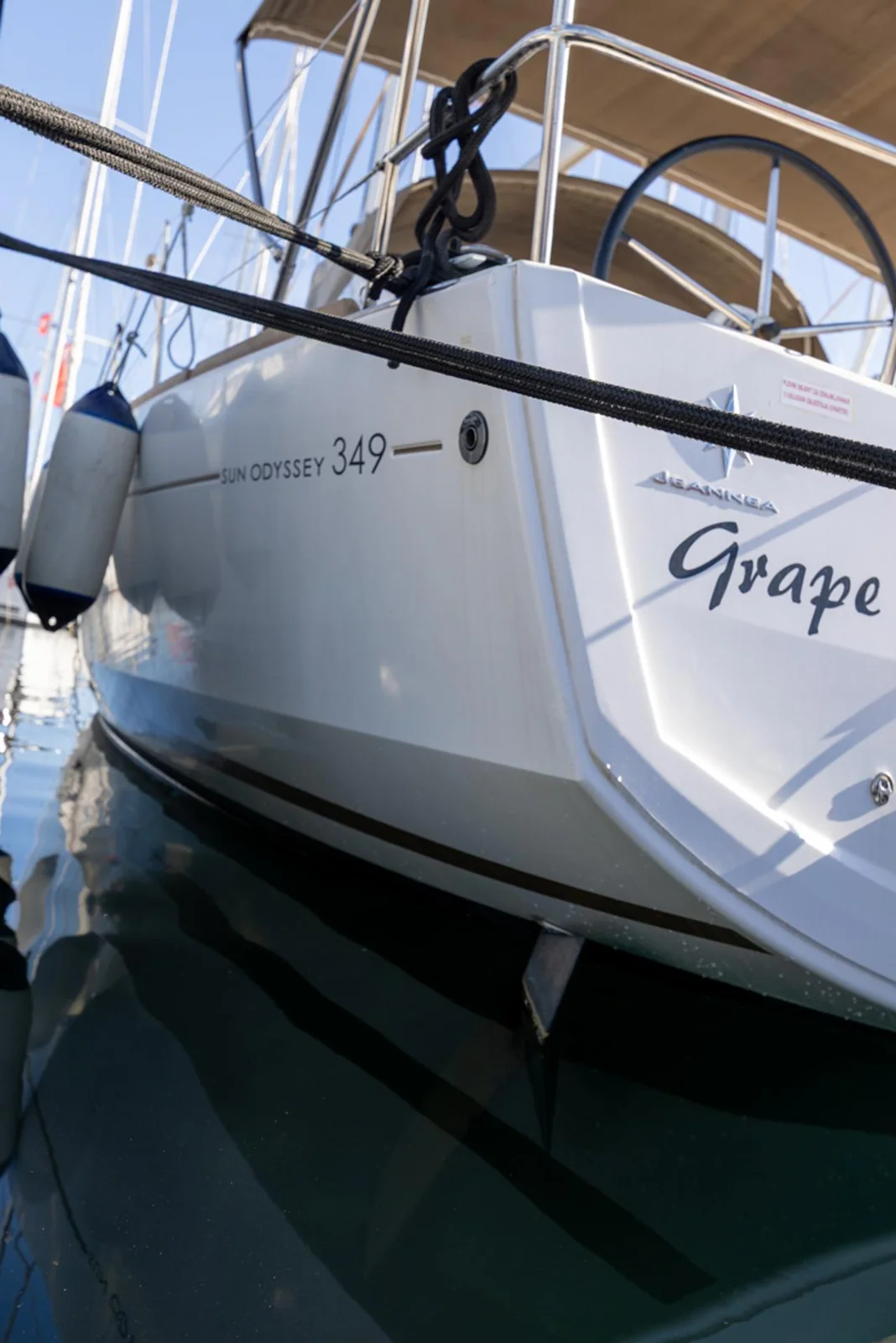 Grape - Gallery 3