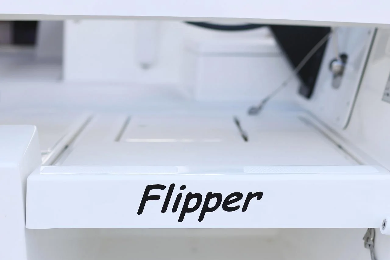 Flipper - Gallery 49