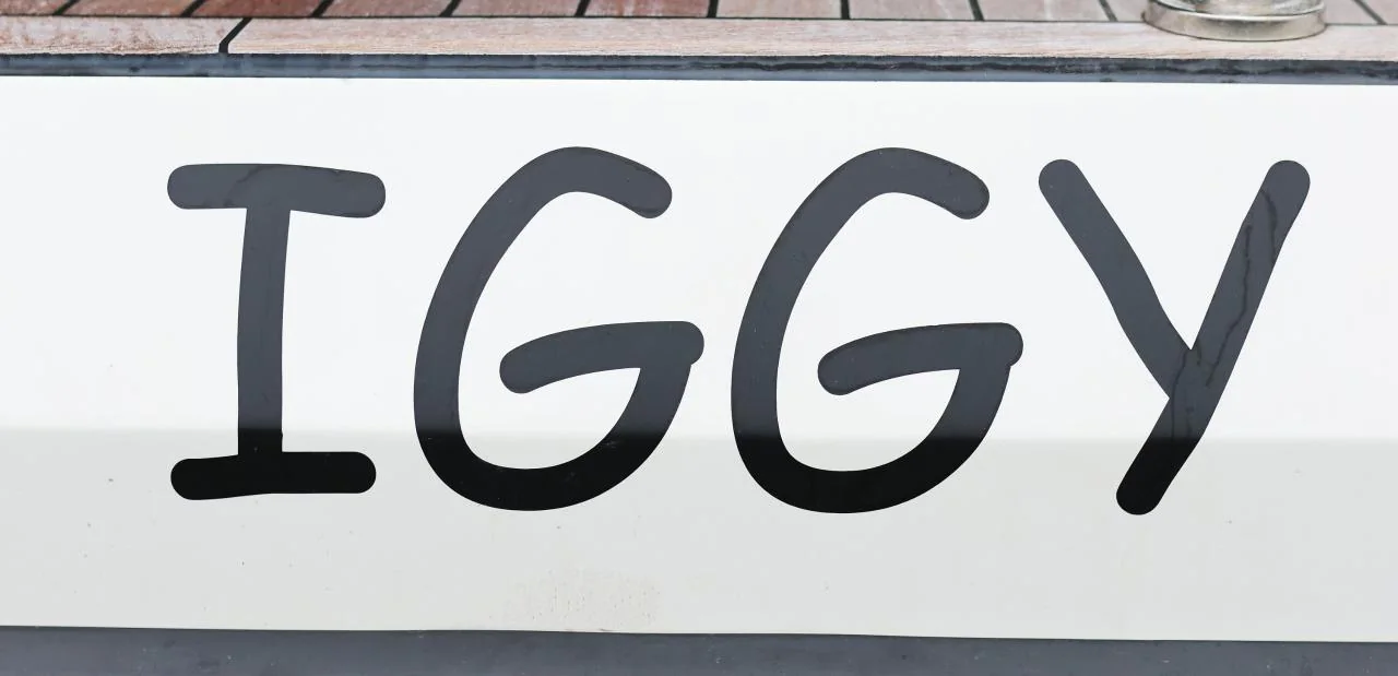 Iggy - Gallery 47