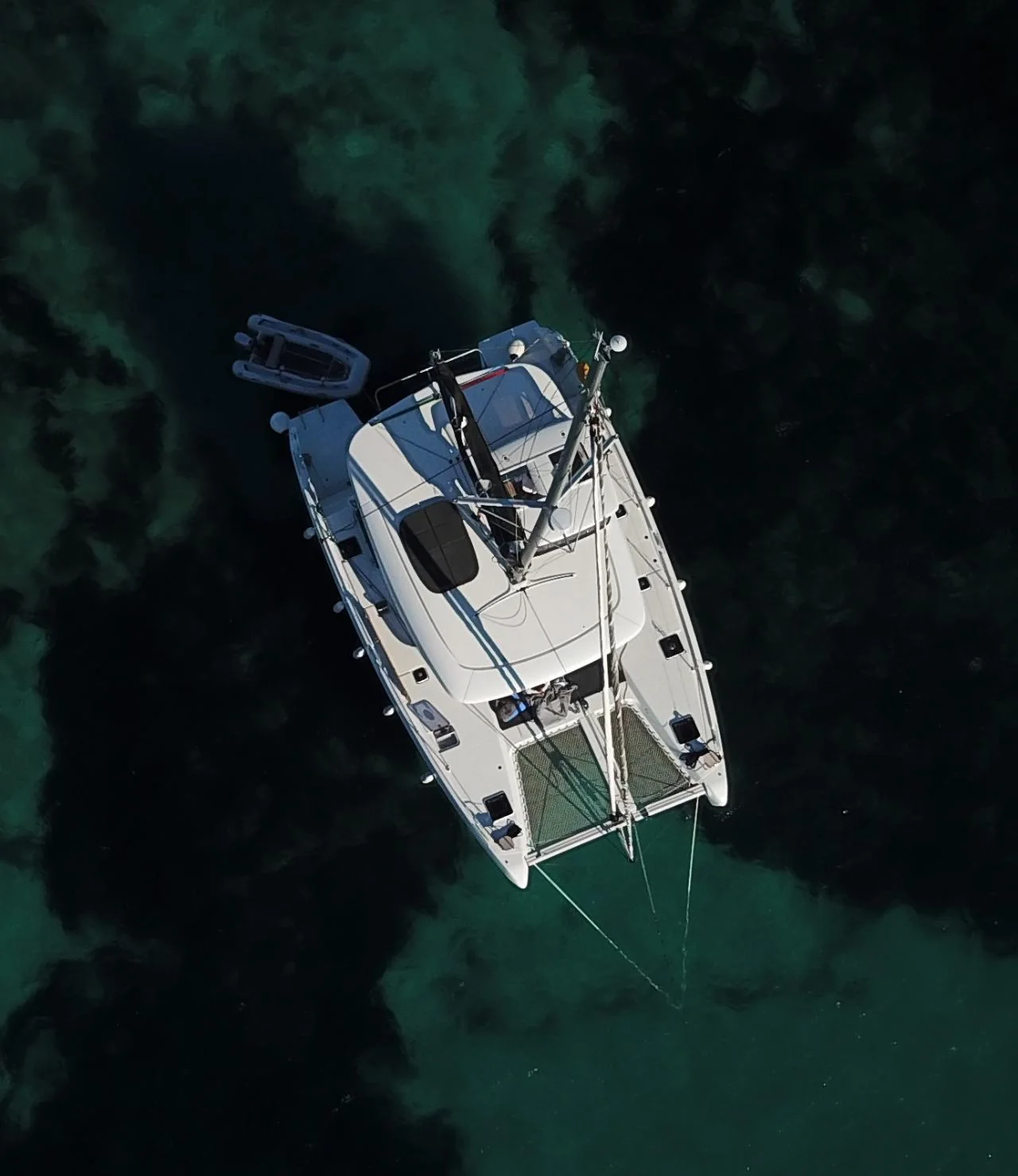 Ocean Pearl - Gallery 29