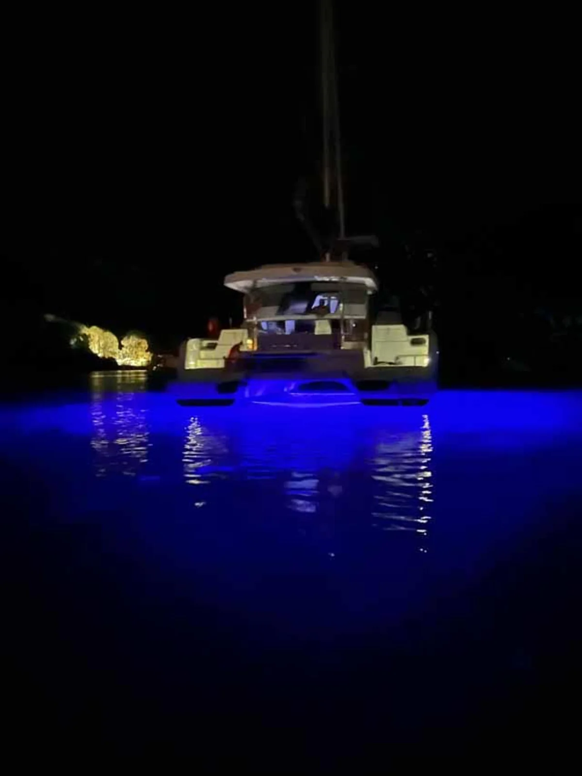 Reve de Vie - Gallery 2