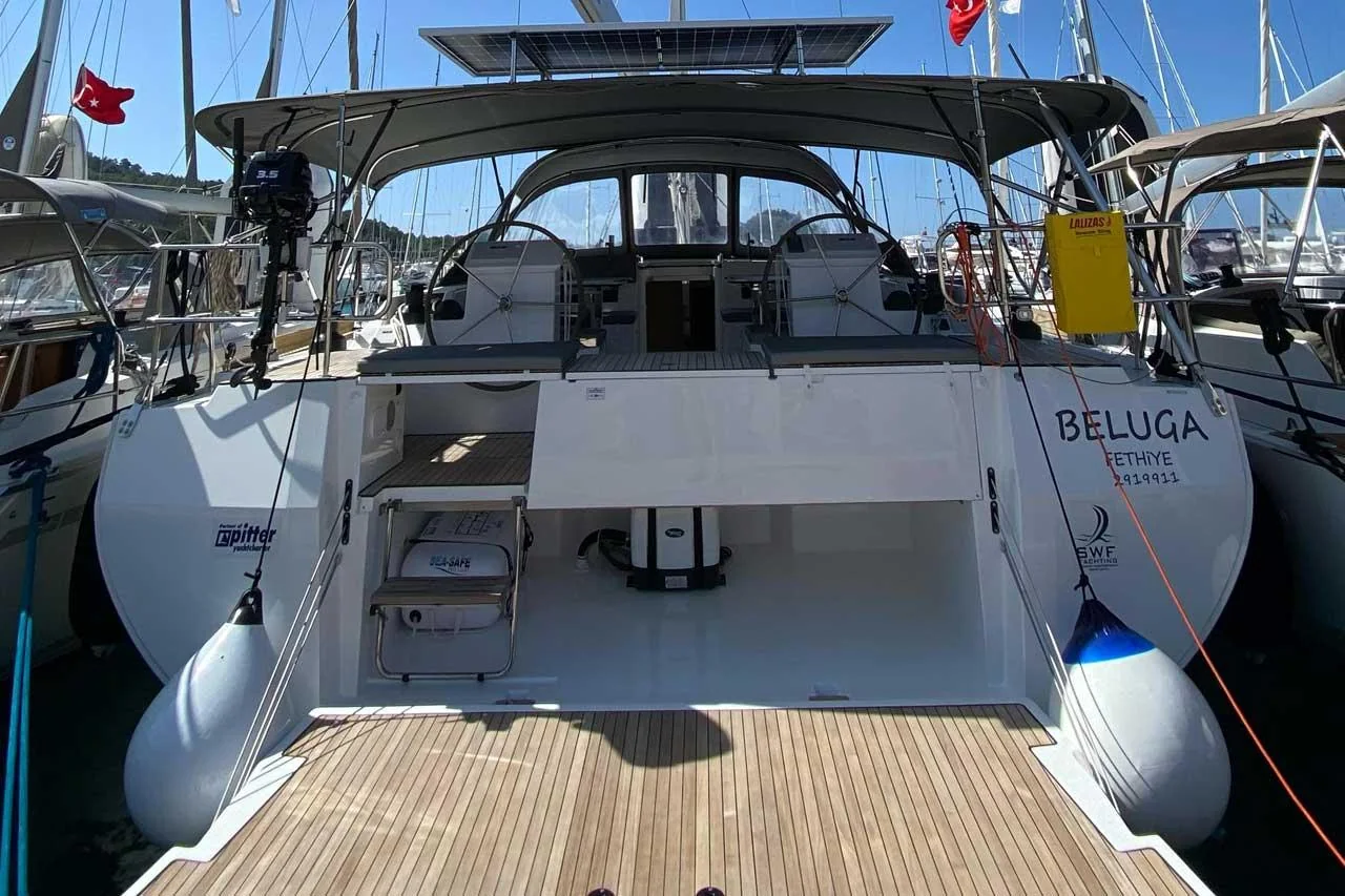 Beluga - Main 1