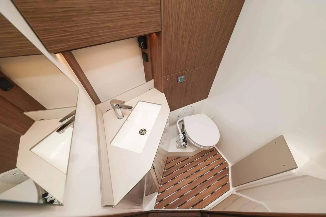 Aquila - Gallery 24