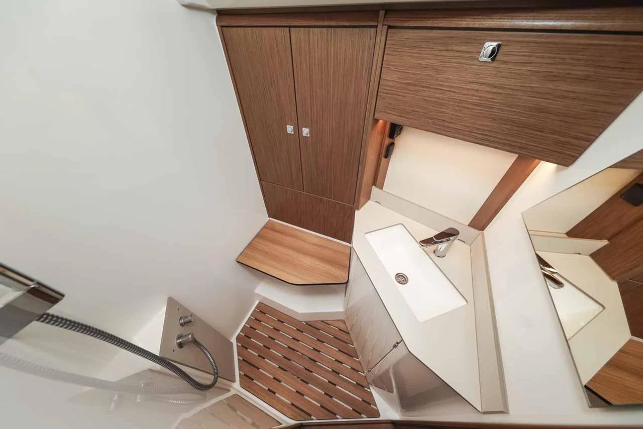 Aquila - Gallery 26