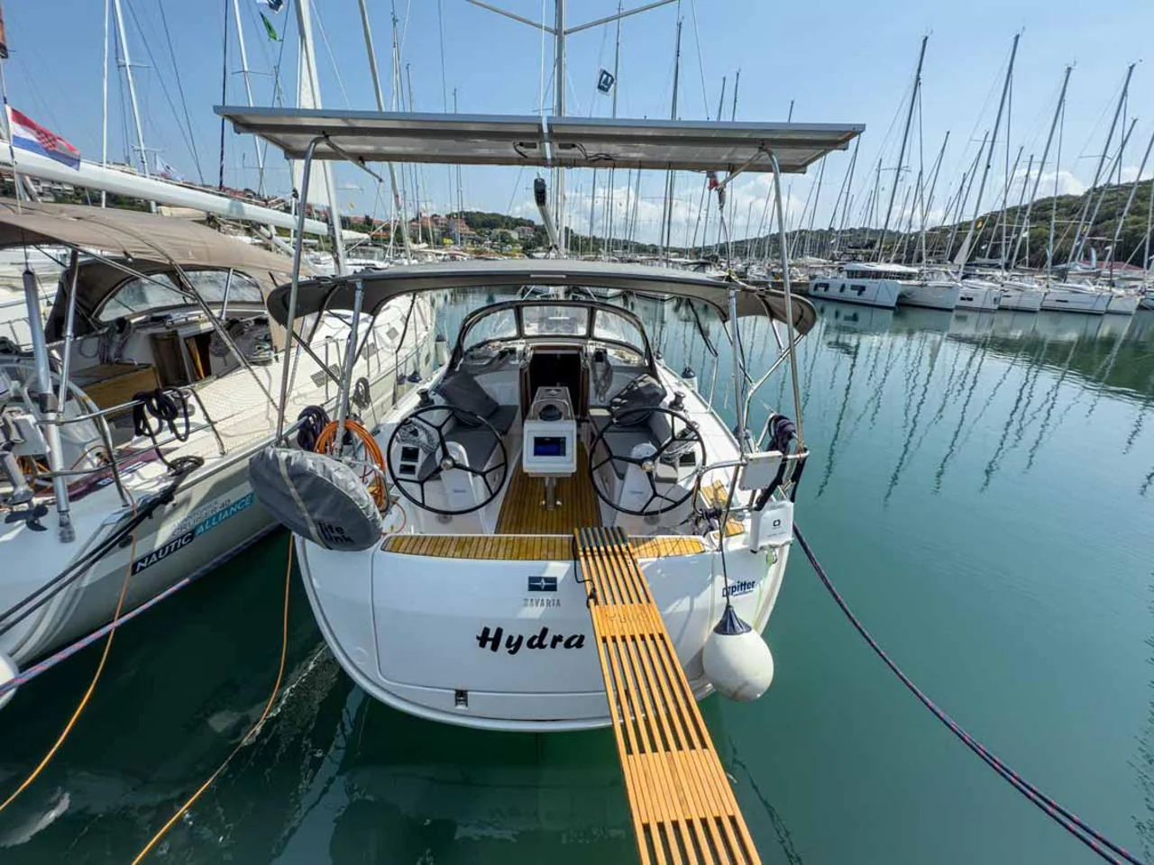 Hydra - Main 1