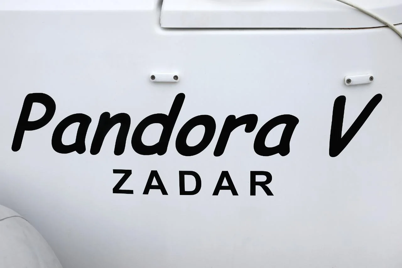 Pandora V - Gallery 41