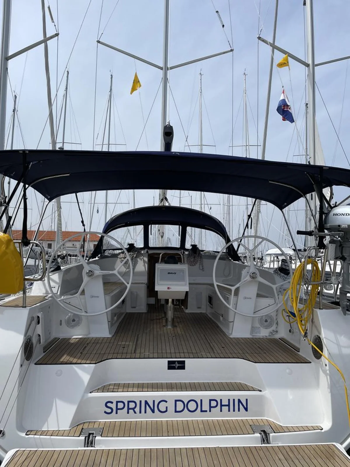 Spring Dolphin - Gallery 3