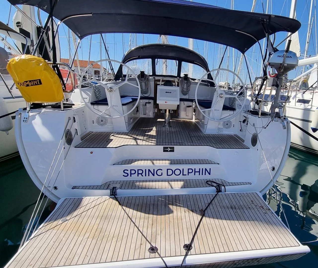 Spring Dolphin - Gallery 4