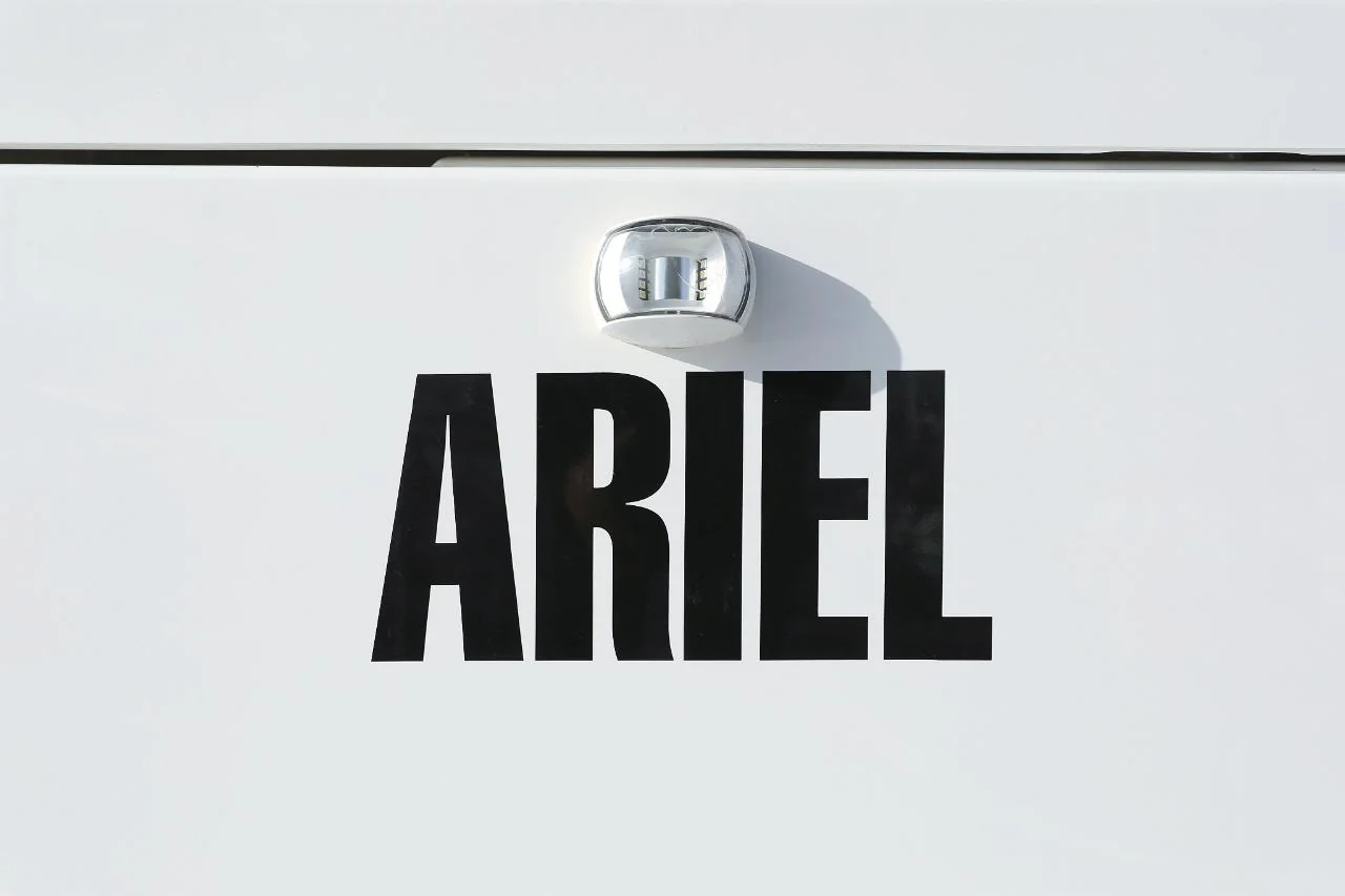 Ariel - Gallery 37