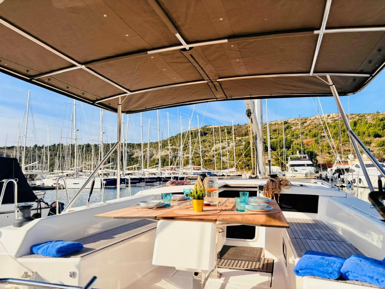 Suzie Q - Gallery 3