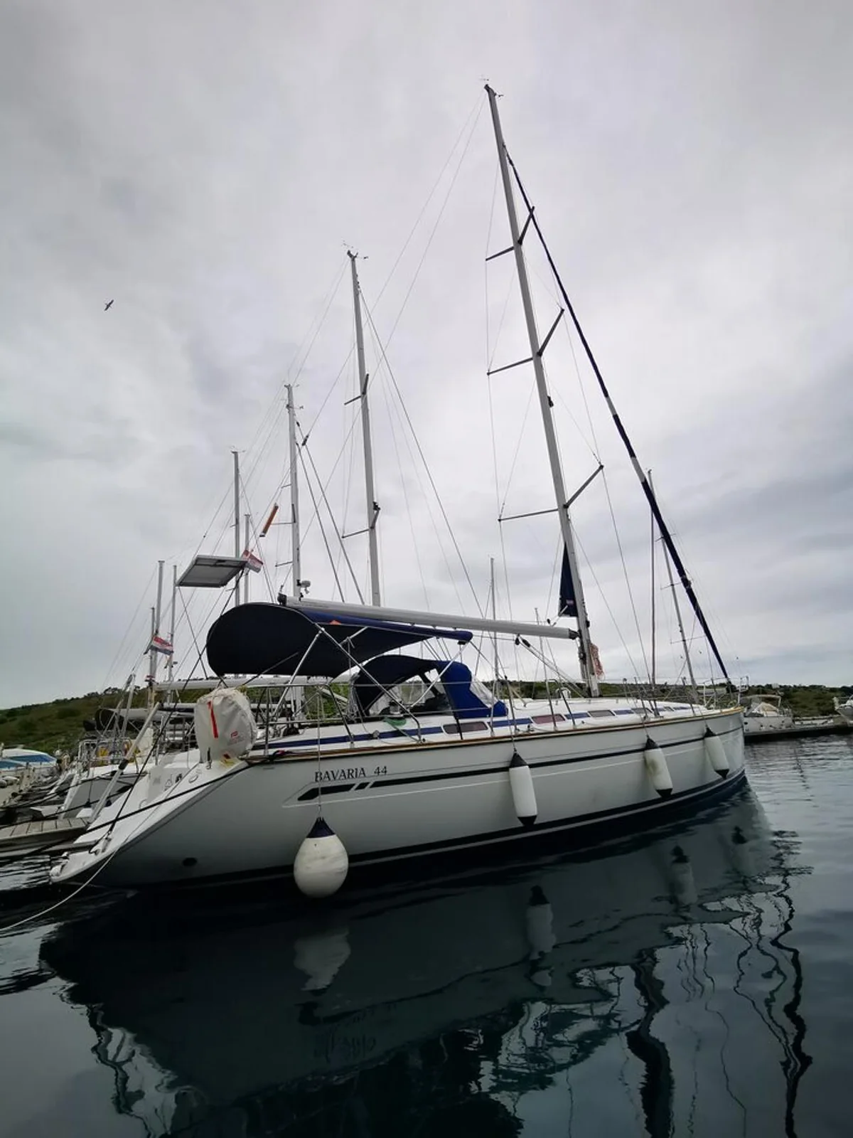 Sea Gull - Main 1