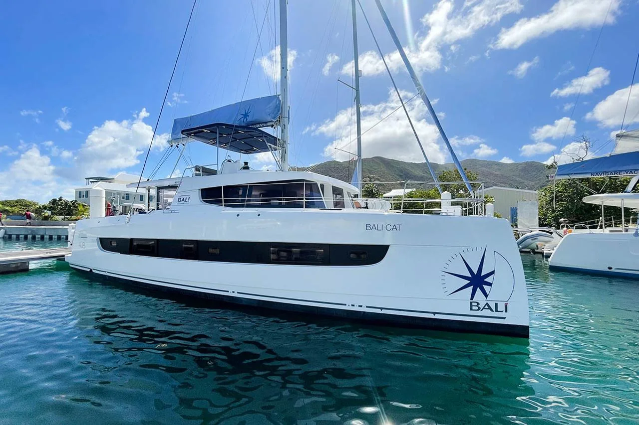 Bali Cat - Main 1