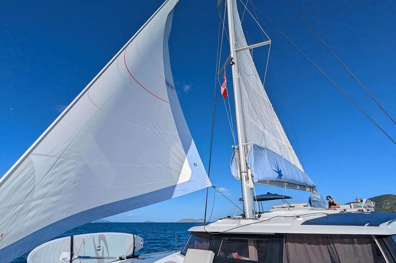 Beachcomber - Gallery 8
