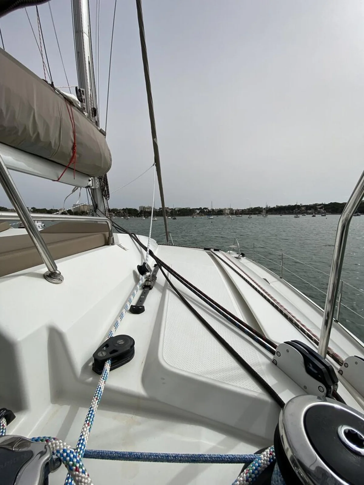 Sunshine Reggae - Gallery 3