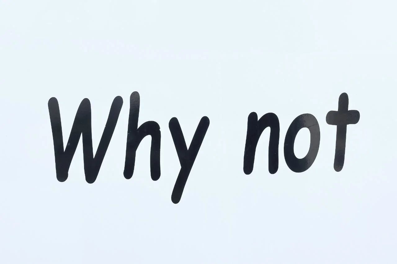 Why Not - Gallery 48