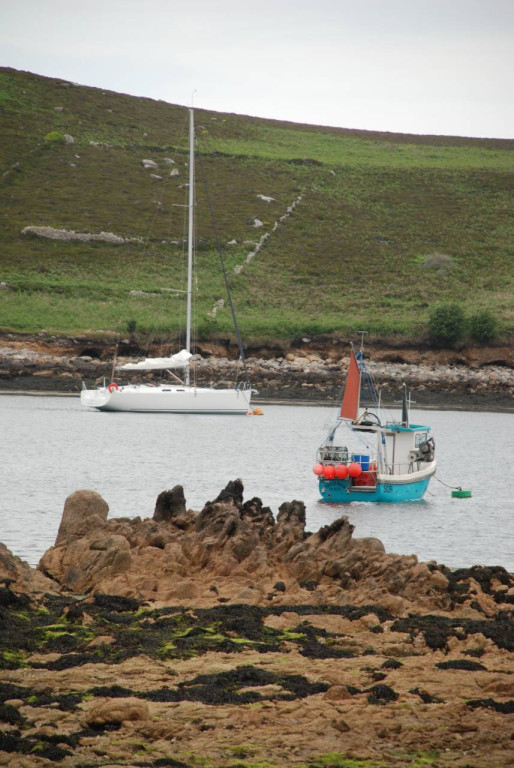 HANSE - Varianta 44 Largo
