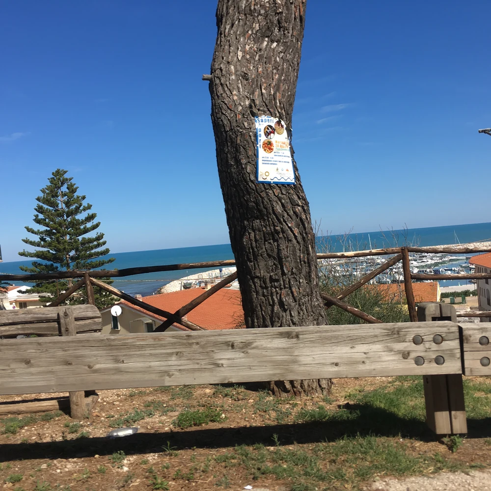 Im Hintergrund ist die Hafenanlage zu erkennen. Weitere Bilder werden ergänzt.