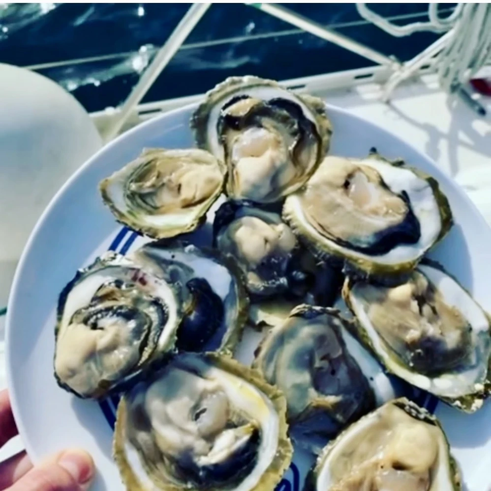 Leider war keine Zitrone an Bord. Die Crew war gleichwohl begeistert.