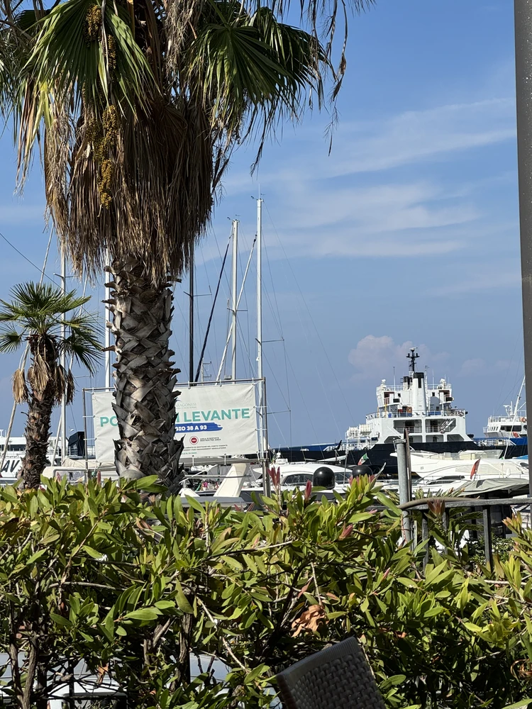 Ausblick aus einer Bar auf den Hafen.