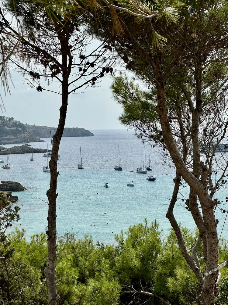 Blick vom Restaurant Ca's Milà auf die Bucht.