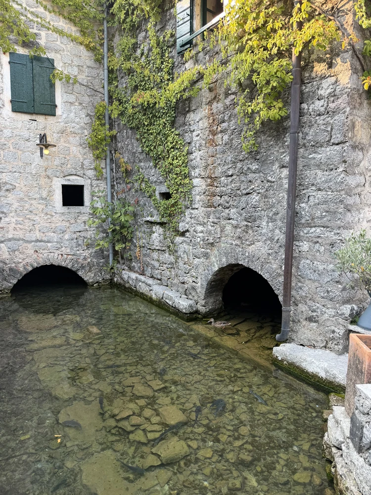 Catovica Mlini, Bucht von Kotor, Montenegro.