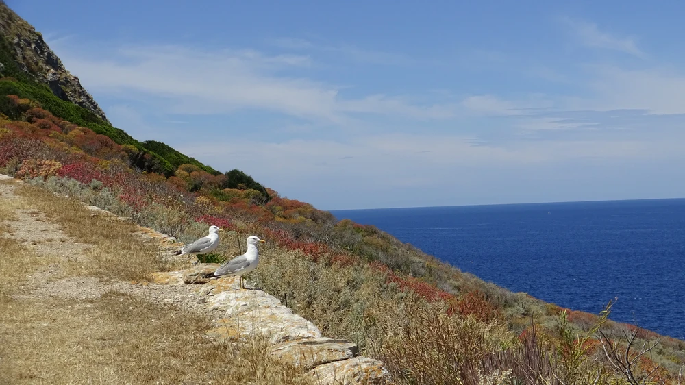 Die Flora und Fauna ist beeindruckend.