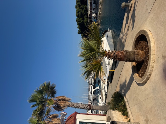 Marina Frapa | Irgendwo auf dem Gelände.